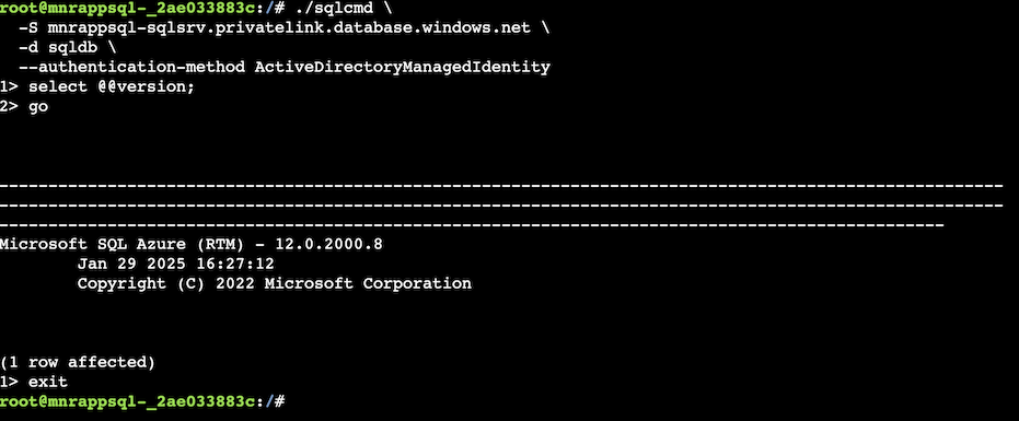 2025-02-15-appservice-sqldatabase-privateendpoint-02.png
