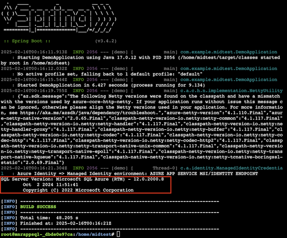 2025-02-16-appservice-springboot-01.png