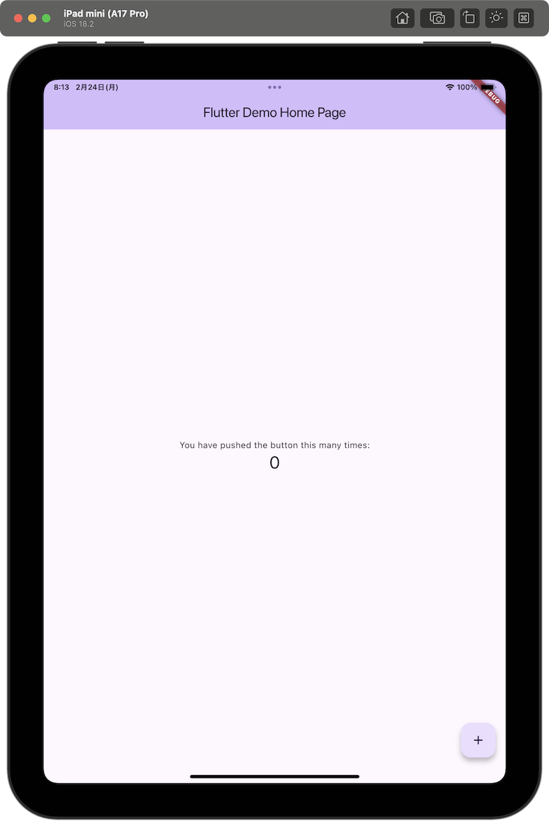 2025-02-24-flutter-03.png