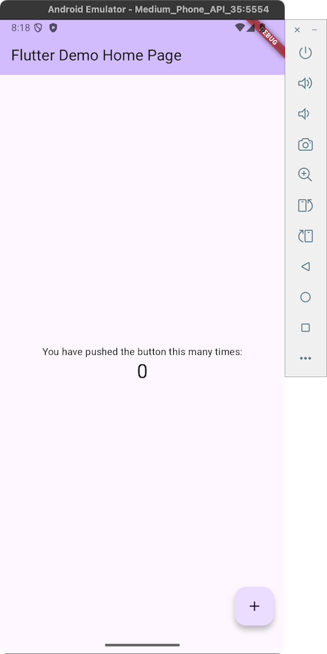 2025-02-24-flutter-04.png